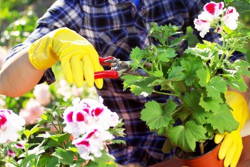 Fair resolution process for gardening complaints