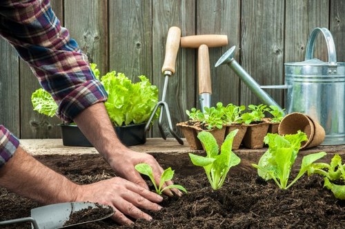 Ongoing review of safe gardening standards