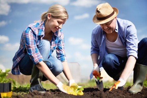 Healthy green lawn care in South Harrow garden