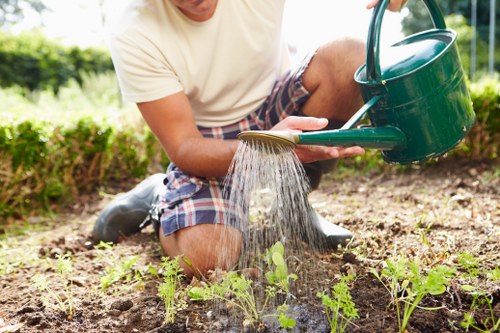 Freshly mown residential lawn in South Harrow