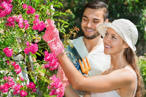 Professional lawn repair and maintenance in South Harrow