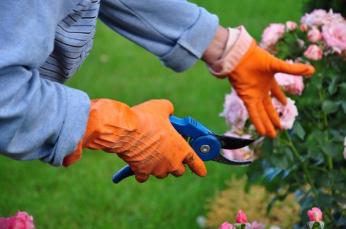 Garden maintenance work in a South Harrow residential garden