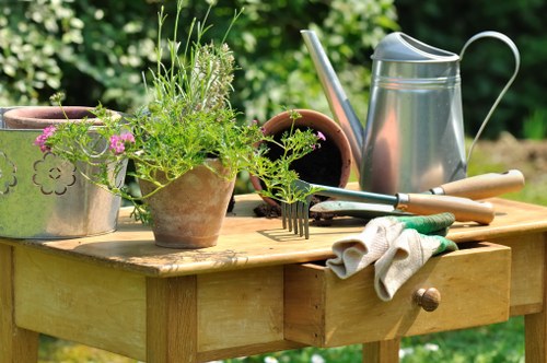 Professional garden shaping and lawn care in South Harrow