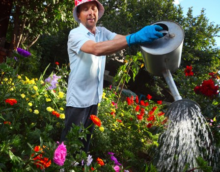 Garden hedge maintenance in South Harrow