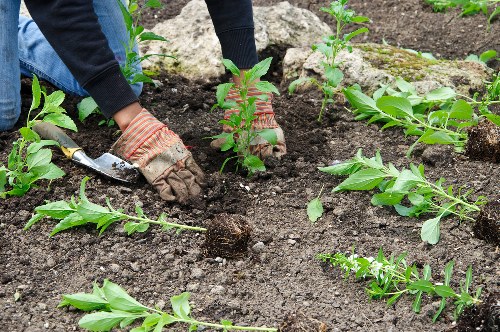 Landscaping services in South Harrow featuring paving and turf