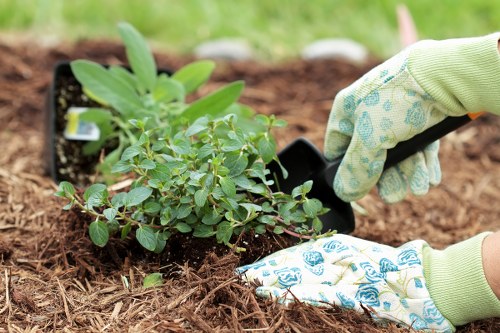 Seasonal lawn maintenance work in South Harrow
