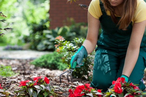 Gardening safety inspection and planning in South Harrow