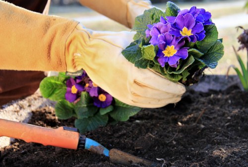 Sustainable garden maintenance and recycling in South Harrow