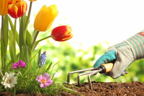 Complaint review for South Harrow garden work