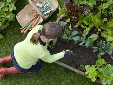Block paving patio cleaning and re-sanding in South Harrow