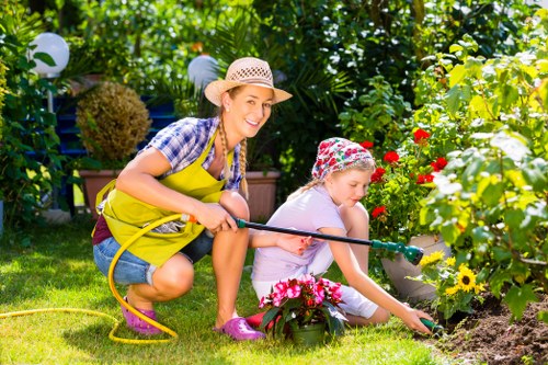 Professional hedge trimming service in South Harrow